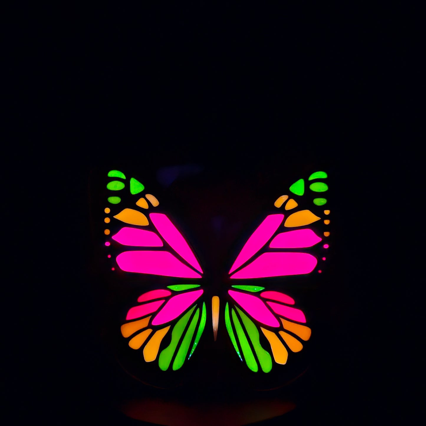 Butterfly Led Lightbox