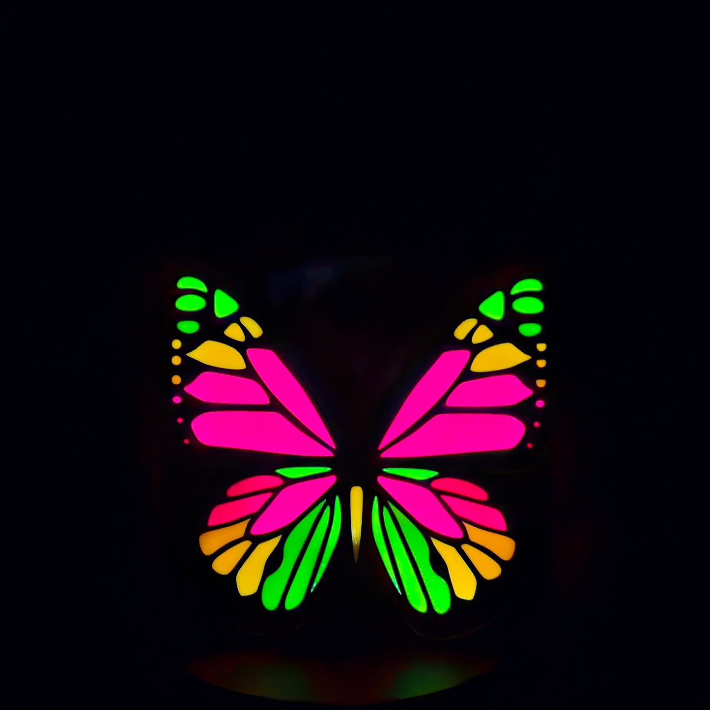 Butterfly Led Lightbox