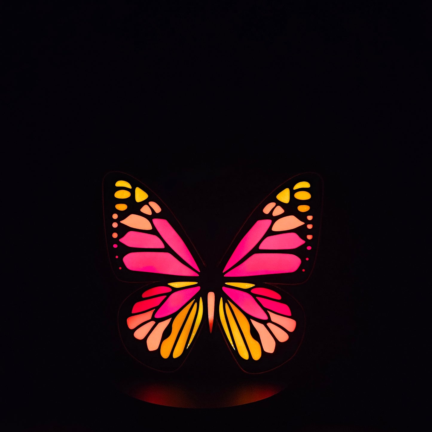 Butterfly Led Lightbox